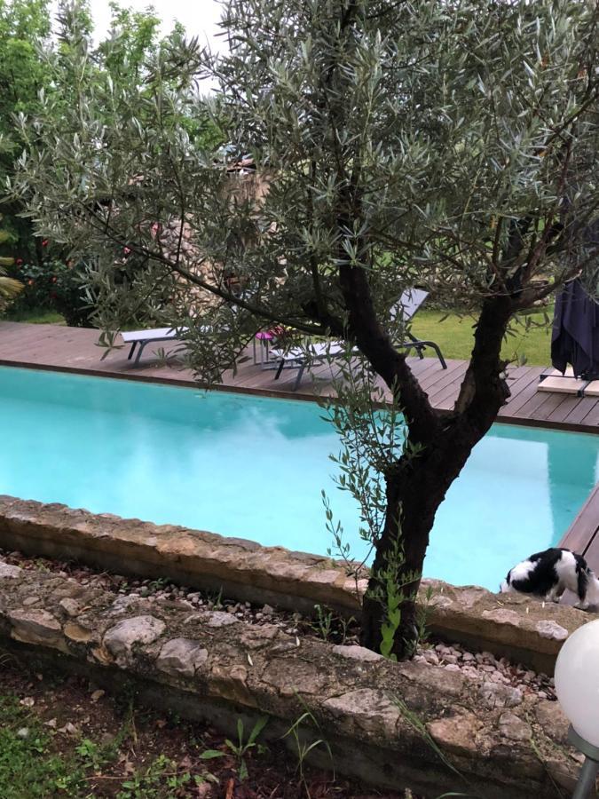 Marquis De Carrou Bed & Breakfast Rochefort-Sanson Exterior foto
